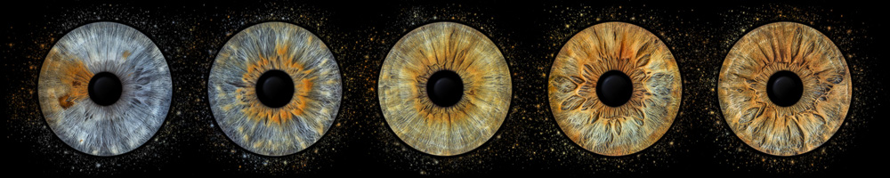 Étoiles noires 1X5